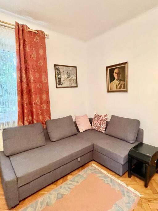 Beautiful Villa With Garden In Milanowek Buitenkant foto
